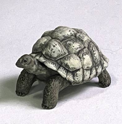 Giant Tortise